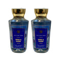 Bath &amp Body Works Shower Gel Set of 2 Bottles Each Bottle 10oz (Denim Daisies)