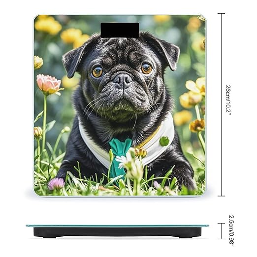 Cute Black Pug Dog Scale for Body Weight Accurate Digital Bathroom Scale Toughened Glass High Precision Scales Smart Weight Scales with Large LCD Backlight Display Weighing Machine