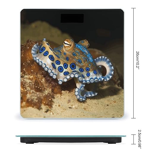 Blue Ring Octopus Scale for Body Weight Safe Rounded Corners Tempered Glass Digital Bathroom Scale LED Display 400lb Capacity Weight Scales with High Precision Sensors