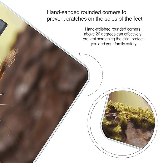 Funny Squirrel Bathroom Scale Large LCD Backlight Display Digital Scale Rounded Corners Body Scales Automatic Power On/Off Bathroom Scales for Home Bedrooms