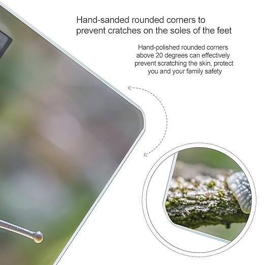 A Photo of A Snail Scale for Body Weight Sturdy Tempered Glass Weighing Scales with LCD Display Accurate Digital Bathroom Scale Convenient Body Fat Smart Scales Easy Read