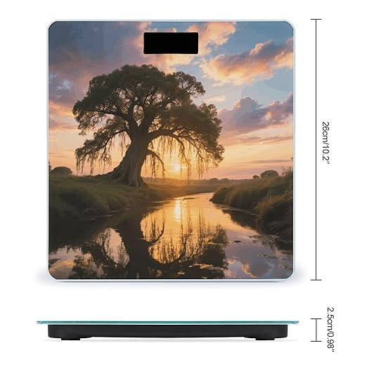 Big Trees in Sunset Weight Scale Large Digital Bathroom Scales with Bright LED Display Non Slip Digital Scale and Step On Fashion Weighing Machine for Body