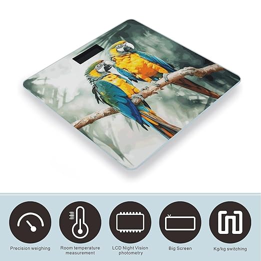 Parrots Scale for Body Weight Anti-Slip Digital Bathroom Scale Sturdy Toughened Glass Weighing Scales High Precision Safe Rounded Corners Smart Scales