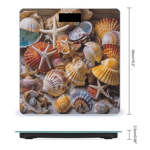 Sea Shell Treasures Scale for Body Weight Digital Bathroom Scale Accurate Smart Weight Scales with Large Display Weighing Machine High Precision Scales