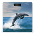 Jumping Up Dolphins Weight Scale for Body Weight Digital Bathroom Scale High Capacity Accurate Digital Weighing Scales and Easy-to-Read on Backlit LCD Display Scales