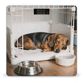 Dachshunds Dog Weight Scale Cute Bathroom Scale for Body Highly Accurate Digital Weighing Machine for People Compact LCD Display Scales with Sturdy Toughened Glass Scales