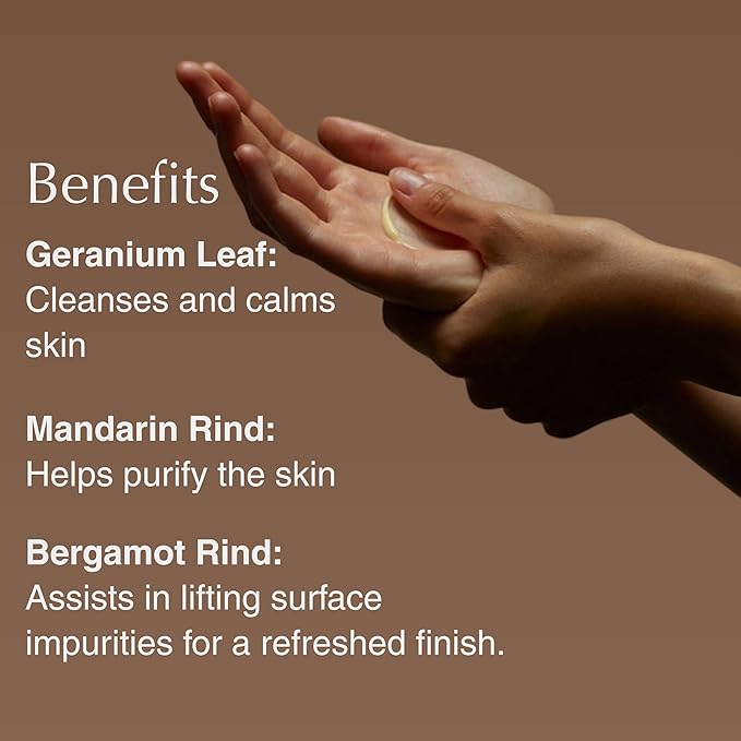Aesop Geranium Leaf Body Cleanser &amp Balm Set | Citrus &amp Fresh Duo to Cleanse and Hydrate Skin | Geranium Leaf Mandarin Rind Bergamot Rind | 16.9 oz / 500mL (Set of 2)