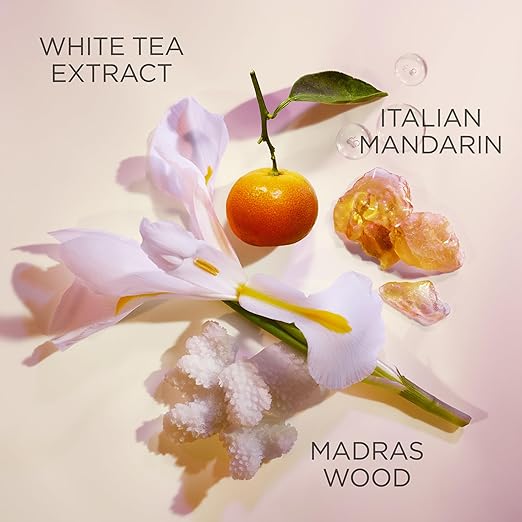 Elizabeth Arden White Tea Pure Indulgence Bath and Shower Gel for Women 13.5 oz