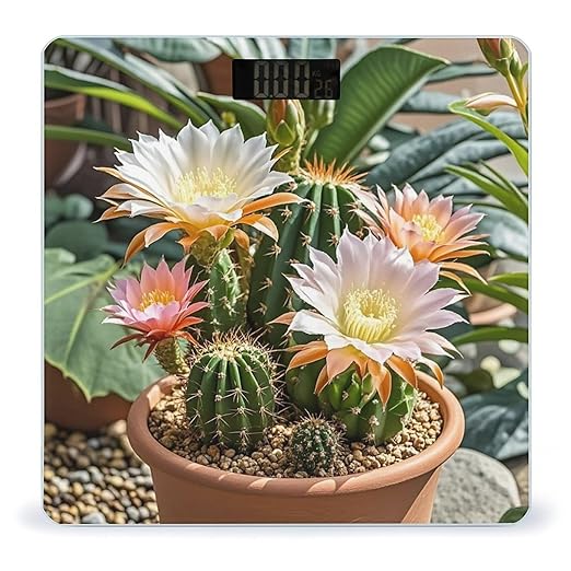 Cactus Flower Pot Scale for Body Weight Highly Accurate Digital Bathroom Body Scale Digital Bathroom Scales for People Anti-Slip Large LCD Display Smart Scales