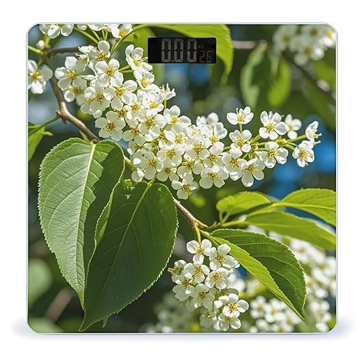 Bird Cherry in Bloom Smart Scale for Body Weight Accurate Bathroom Scale with LED Display Digital Weight Scales Weighing Machine High Precision Scales for Bath Home
