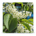 Bird Cherry in Bloom Smart Scale for Body Weight Accurate Bathroom Scale with LED Display Digital Weight Scales Weighing Machine High Precision Scales for Bath Home
