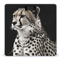 Cheetah Bathroom Scale for Body Weight Bathroom Digital Electronic Weighing Scale with Back Lit LED Display Sturdy Tempered Glass Weight Watchers Scales 400lb