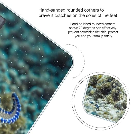 Blue Ringed Octopus Scale for Body Weight Accurate Digital Bathroom Scale Toughened Glass High Precision Scales Smart Weight Scales with Large LCD Backlight Display Weighing Machine