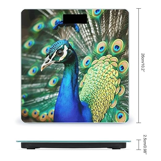 Beautiful Peacock Digital Bathroom Scale Fashion Unique Weight Scale BMI Anti-Slip Precision Weighing Scales Suitable for Home Bedrooms Use and Gift