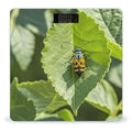 Insects on Leaves Scale for Body Weight Digital Bathroom Scale Accurate Smart Weight Scales with Large Display Weighing Machine High Precision Scales