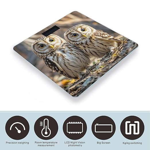 Real Cute Owls Scale for Body Weight Accurate Digital Bathroom Scale Toughened Glass High Precision Scales Smart Weight Scales with Large LCD Backlight Display Weighing Machine