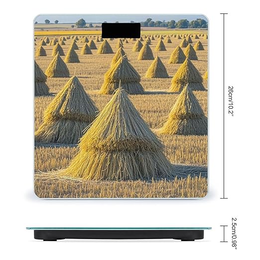 Pile of Grain Scale for Body Weight Smart Scales Digital Bathroom Scale High Precision Weighing Scales with Large Display Weighing Machine for People