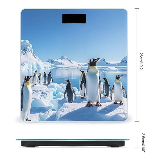 Penguin Antarctica Ice Scale for Body Weight Accurate Digital Bathroom Scale Toughened Glass High Precision Scales Smart Weight Scales with Large LCD Backlight Display Weighing Machine