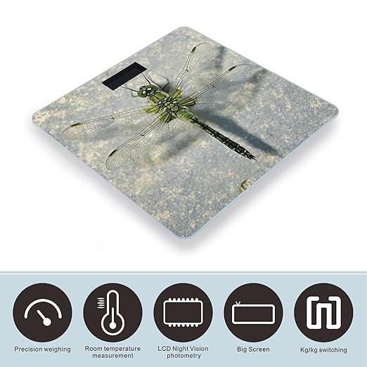 Dragonfly Drawing Scale for Body Weight Digital Bathroom Scale Toughened Glass High Precision Scales for Body Weight with Large LCD Backlight Display Weight Scales