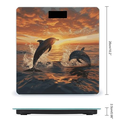 Dolphins Jumping Out of The Water at Sunset Bathroom Scale for Body Weight Bathroom Weighing Scale with Backlit LCD Display Highly Accurate Measures Weight Up to 180kg