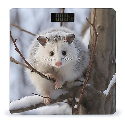 Opossum in Snow Bathroom Scale Rounded Smart Scale for Body Weight Automatic Power On/Off Weight Scales Accurate Bathroom Digital Scales for Pet Home Bedroom Kitchen