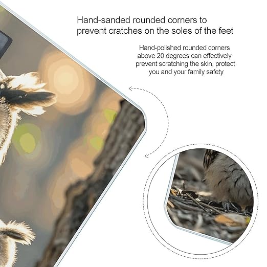 Owl Birds Scale for Body Weight Digital Bathroom Scale Accurate Smart Weight Scales with Large Display Weighing Machine High Precision Scales