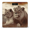 African Lion and Lioness Scale for Body Weight Sturdy Tempered Glass Weighing Scales with LCD Display Accurate Digital Bathroom Scale Convenient Body Fat Smart Scales 400lb
