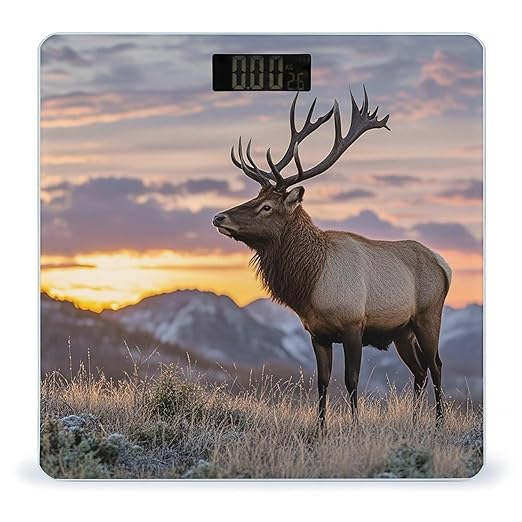 Red Deer Bull Elk Sunset Scale for Body Weight Accurate Digital Bathroom Scale Toughened Glass High Precision Scales Smart Weight Scales with Large LCD Backlight Display Weighing Machine