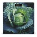 Bright Cabbage Bathroom Scale for Body Weight Bathroom Weighing Scale with Backlit LCD Display Highly Accurate Measures Weight Up to 180kg