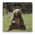 Hi Bear Sit on The Lawn Bathroom Scale Ultra-Bright Liquid Crystal Screen Weight Scale Accurate Bathroom Body Scales for Body Weight Bathroom Pet Home Bedroom Gift-Giving