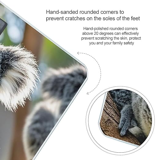 Lovely Koala Scale for Body Weight Accurate Digital Bathroom Scale Toughened Glass High Precision Scales Smart Weight Scales with Large LCD Backlight Display Weighing Machine