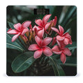Plumeria Bathroom Scale Large LCD Backlight Display Digital Scale Rounded Corners Body Scales Automatic Power On/Off Bathroom Scales for Home Bedrooms