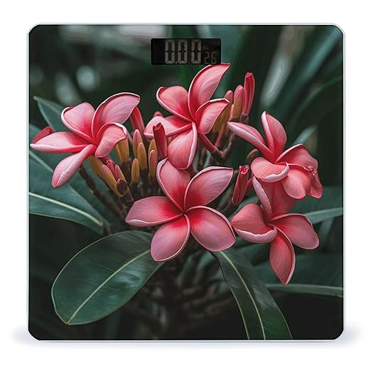 Plumeria Bathroom Scale Large LCD Backlight Display Digital Scale Rounded Corners Body Scales Automatic Power On/Off Bathroom Scales for Home Bedrooms