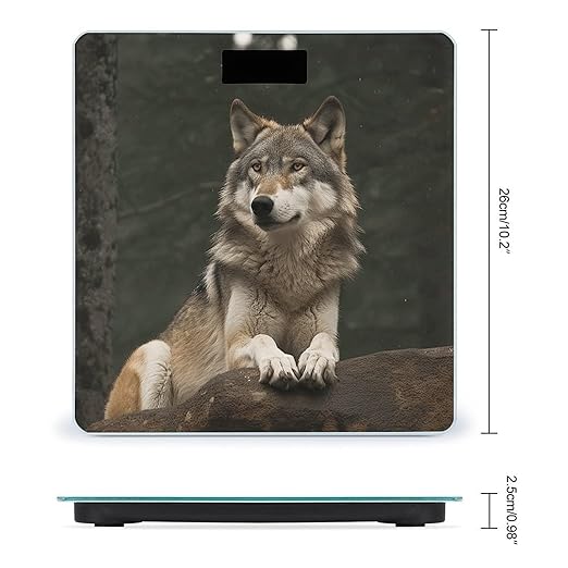 Gray Wolf Smart Scale for Body Weight Accurate Bathroom Scale with LED Display Digital Weight Scales Weighing Machine High Precision Scales for Bath Home