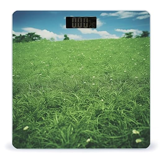 Green Lawn Scale for Body Weight Highly Accurate Digital Bathroom Scale Sturdy Tempered Glass Weighing Scales with LCD Display Fashion Body Fat Smart Scales 400lb