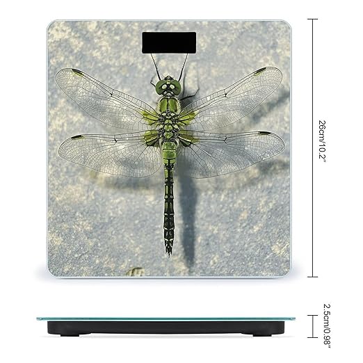 Dragonfly Drawing Scale for Body Weight Digital Bathroom Scale Toughened Glass High Precision Scales for Body Weight with Large LCD Backlight Display Weight Scales