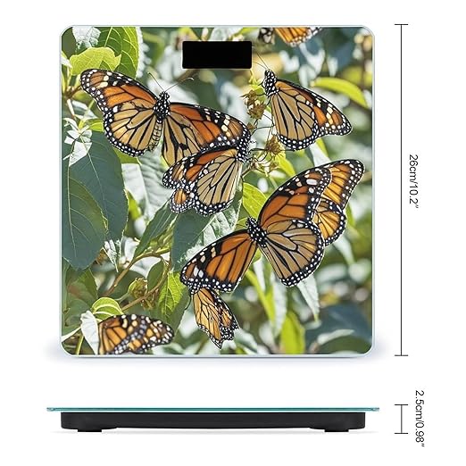 Monarch Butterflies Scale for Body Weight Accurate Digital Bathroom Scale Toughened Glass High Precision Scales Smart Weight Scales with Large LCD Backlight Display Weighing Machine