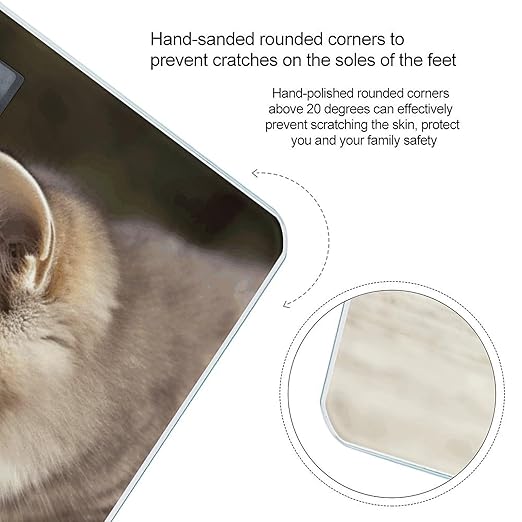 Cat and Butterfly Scale for Body Weight Sturdy Tempered Glass Weighing Scales with LCD Display Accurate Digital Bathroom Scale Convenient Body Fat Smart Scales 400lb