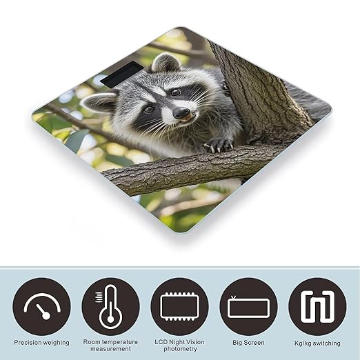 Raccoon Scale for Body Weight Highly Accurate Digital Bathroom Body Scale Digital Bathroom Scales for People Anti-Slip Large LCD Display Smart Scales