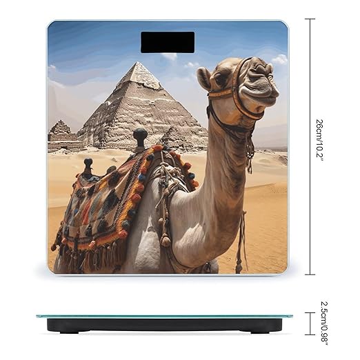 Pyramid CamelScale for Body Weight with LCD High Precision Weighing Scales Fashion Sturdy Tempered Glass Weight Scales Easy-to-Read Digital Bathroom Scale for Daily 400lb