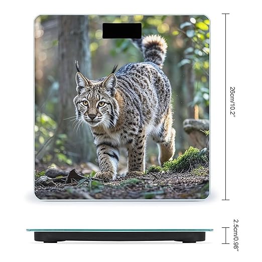 Wild Bobcat Bathroom Scale for Body Weight Bathroom Weighing Scales with Back Lit LED Display Sturdy Tempered Glass Body Weight Bathroom Scale 400lb Weighing