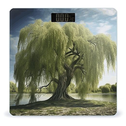 Willow Tree Scale for Body Weight Highly Accurate Digital Bathroom Scale Sturdy Tempered Glass Weighing Scales with LCD Display Fashion Body Fat Smart Scales 400lb