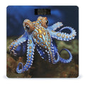 Blue Ringed Octopus Scale for Body Weight Safe Rounded Corners Tempered Glass Digital Bathroom Scale LED Display 400lb Capacity Weight Scales with High Precision Sensors