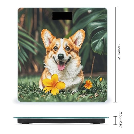 Tropical Flower and Corgi Smart Scale for Body Weight Accurate Bathroom Scale with LED Display Digital Weight Scales Weighing Machine High Precision Scales for Bath Home