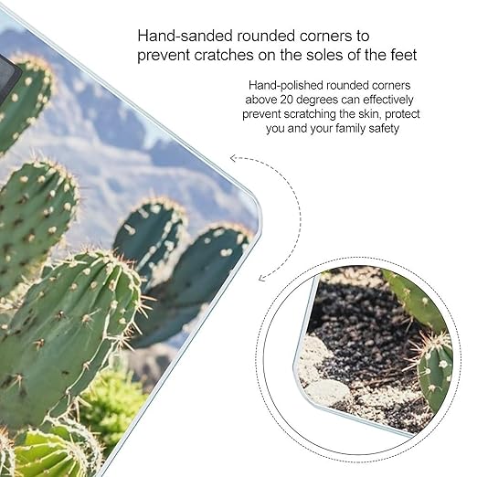 Green Cactus Scale for Body Weight Smart Scales Digital Bathroom Scale High Precision Weighing Scales with Large Display Weighing Machine for People
