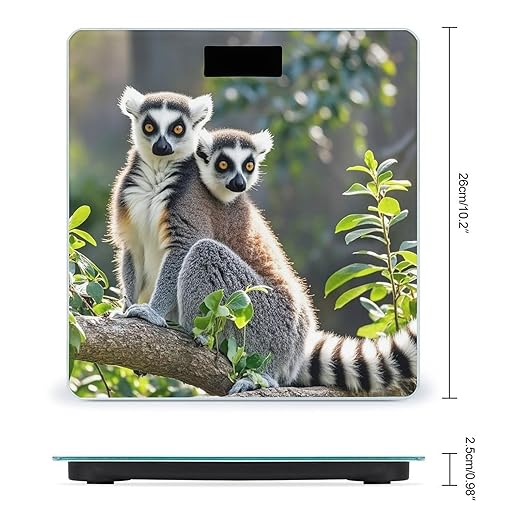 Ringtailed Lemur Scale for Body Weight Highly Accurate Digital Bathroom Body Scale Digital Bathroom Scales for People Anti-Slip Large LCD Display Smart Scales