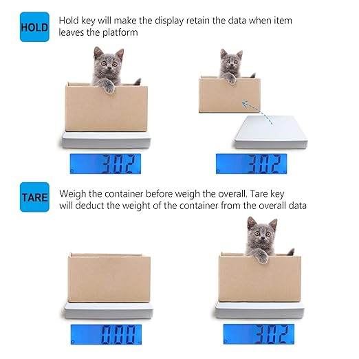Digital Scales for Body Weight Heavy Duty for Hospital &amp Physician Use Large Digital Display and Base Desktop &amp Suspended Display Screen with Bracket Weigh Up to 660lbs/300kg (White DT-550