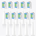 Compatible for Bitvae D2 Electric Toothbrush Replacement Heads
