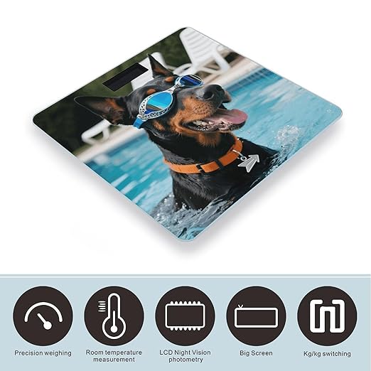 Doberman in Pool Scale for Body Weight Sturdy Tempered Glass Weighing Scales with LCD Display Accurate Digital Bathroom Scale Convenient Body Fat Smart Scales Easy Read
