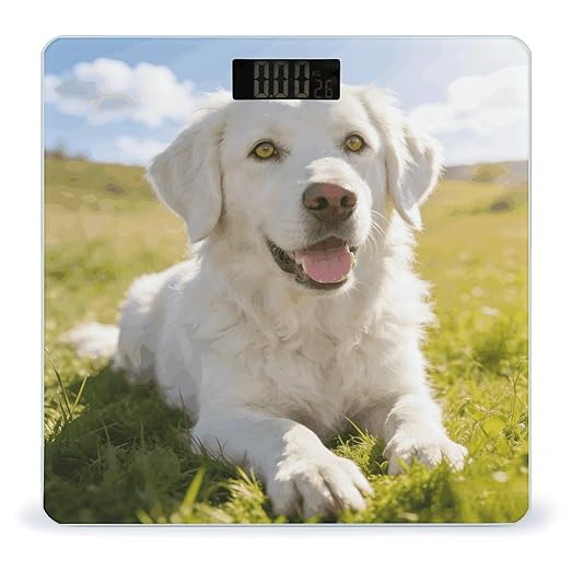 Milch Smart Scale for Body Weight Digital Bathroom Scale Toughened Glass Weight Scale with Large LCD Backlight Display High Precision Scales Weighing Machine